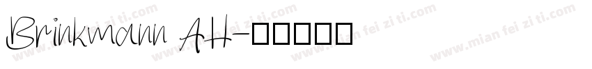 Brinkmann AH字体转换